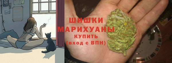 крисы Белокуриха