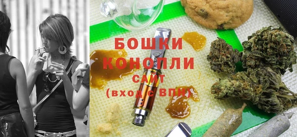 крисы Белокуриха