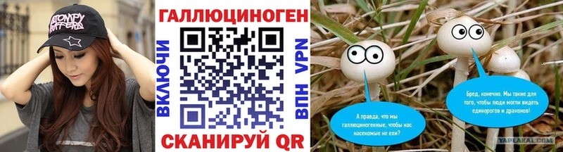Галлюциногенные грибы Psilocybine cubensis Бийск