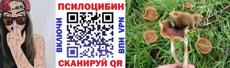 дарнет шоп Бийск Галлюциногенные грибы GOLDEN TEACHER